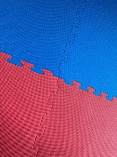 ［注文者専用ページ］ジョイントマット赤青8枚北海道法人送料込み 10枚セット】ジョイントマット大判 在庫処分品 ハード 空手 柔術 合気道