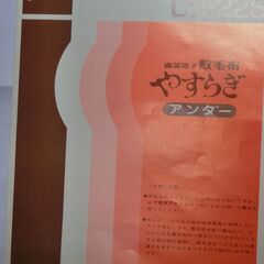 電気毛布　東芝cs-22s　やすらぎ