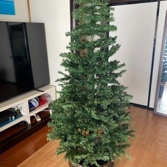 クリスマススリー 170cm