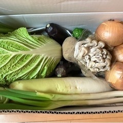 野菜セット(中盛り)No.❸、1セット限り