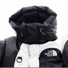 SUPREME 20AW THE NORTH FACE S LOGO Himalayan Parka
