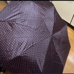 無料‼️折りたたみ傘