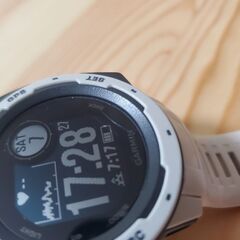 Garmin Instinct (いわゆる初代？) カーキ