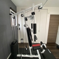 アイロテック　マルチホームジムDX150V2