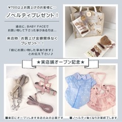 犬のお洋服と雑貨屋さんNew OPEN！➖堺市東区➖ - ペット