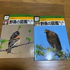 野鳥の図鑑