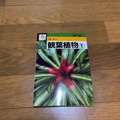 観葉植物　図鑑