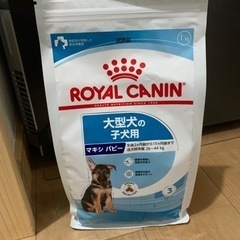 ロイヤルカナン マキシパピー(1kg)大型犬の子犬用
