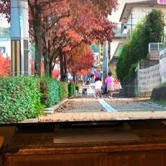 ソニー55型テレビ