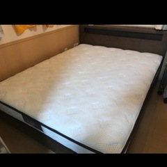 牛頭蓋骨本物美術教材オブジェ魔法使いの嫁