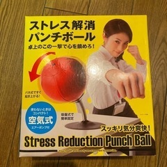 受付終了【新品･無料】ストレス解消パンチボール