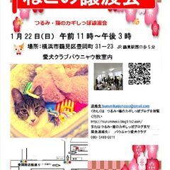 つるみ・猫のカギしっぽ譲渡会1月22日　 JR鶴見駅西口から徒歩...