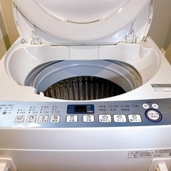 2019年製　SHARP 洗濯機　7kg ステンレス穴無し槽　節...