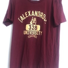 ［ Alexandros］　Tシャツ　2枚セット