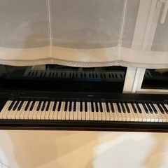 YAMAHA NP-30