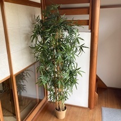 人工観葉植物　竹　フェイスグリーン　180cm