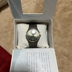 スカーゲン腕時計　盤表面シール付き未使用自宅保管