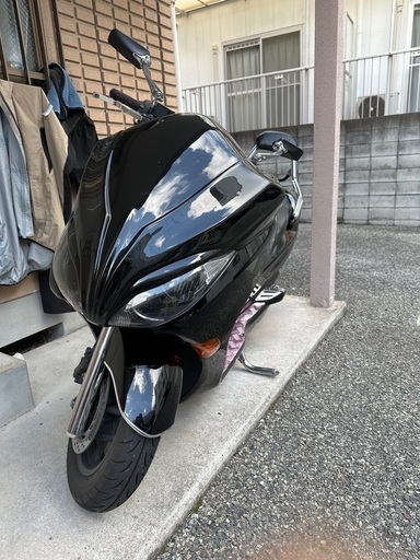 フォルツァ（受け渡し済）