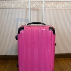 大容量】 スーツケース 100L 〜北欧で購入〜 安く売ります!! バッグ