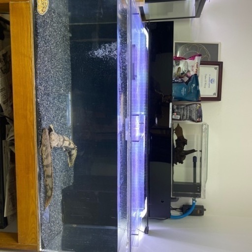 1200水槽セット