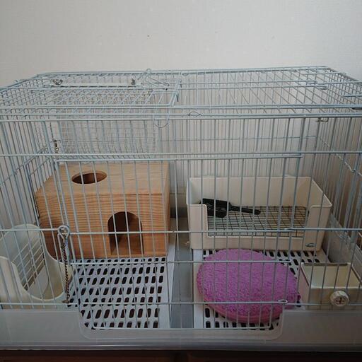うさぎ 飼育セット