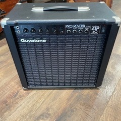 Guyatone ZIP-60 PRO LEAD