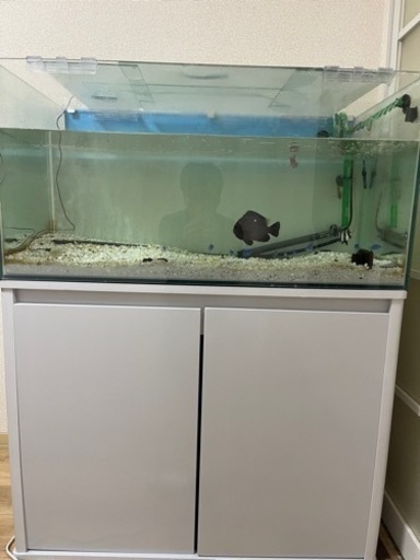 90cm水槽