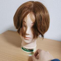 美容学校で使ったヘッドマネキン大量