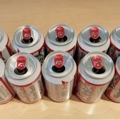 【限定品】Budweiser VERDY  Wasted You...