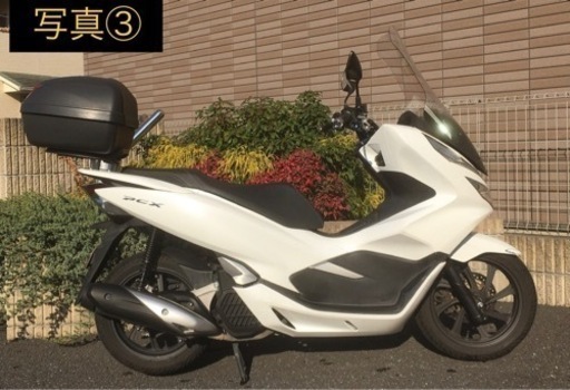 HONDA PCX 125  2019年 125cc ホンダ 【要件改定】 HONDA PCX 125 2019年 125cc ホンダ 【要件改定】