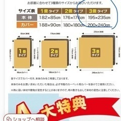 ゼンケン ホットカーペット 3畳用 ZCB-30P