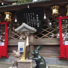 『うさぎ神社へ参拝に行きませんか』