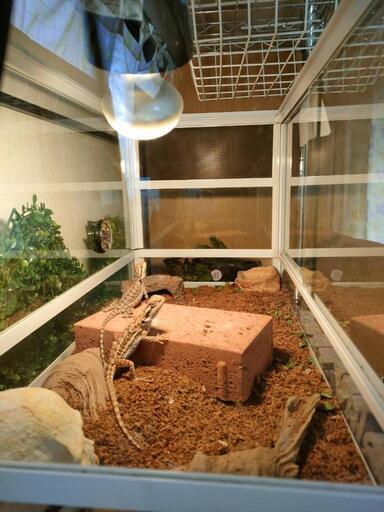 取引中 爬虫類ケージ 水槽 取引中 爬虫類ケージ 水槽