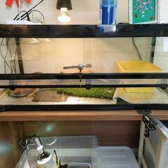 取引中　特大　爬虫類ケージ　