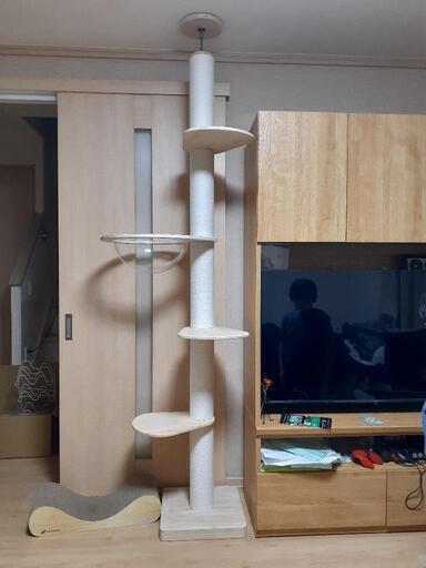 ほぼ新品キャットタワーボールベッド付きSUMIKA 突っ張り型 木製