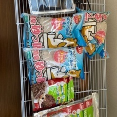 ハリネズミケージ　飼育セット