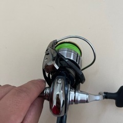 セルテート　リール