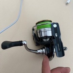 セルテート　リール