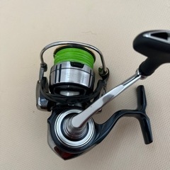 セルテート　リール