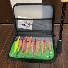 17セフィアエギングセット