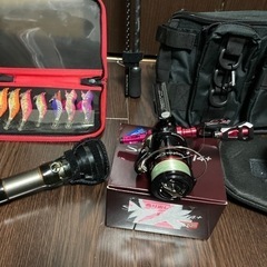 12セフィアエギングセット