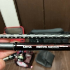 12セフィアエギングセット