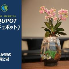 アキュポット(AQUPOT) S　水槽+植木鉢　加湿と空気清浄効果!!