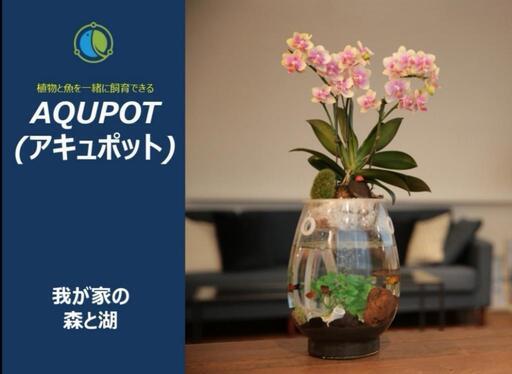 アキュポット(AQUPOT) M 水槽+植木鉢　加湿と空気清浄効果!!