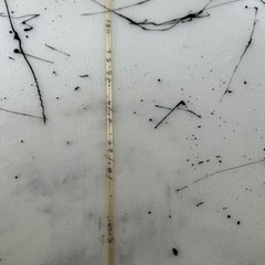 LSDサーフボード