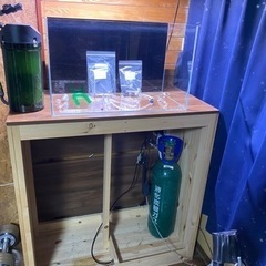 早い者勝ち  ADA水槽その他まとめ売り