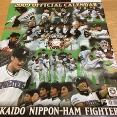 日ハム　ファイターズ　北海道日ハムファイターズ　カレンダー　2009年