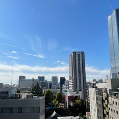 新築最上階、東京タワービュー！！ 日比谷線神谷町駅まで徒歩1分♪...