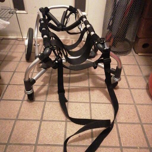 犬用車椅子（コーギー）
