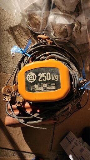 日立電動ホイスト　250kg 　動作確認済！
